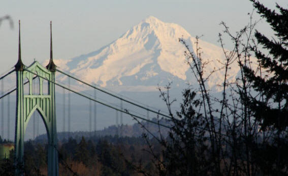 Bridge City BaseballWood and Composite Wood Located in Bats Portland Oregon