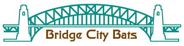 Bridge City baseball Bats